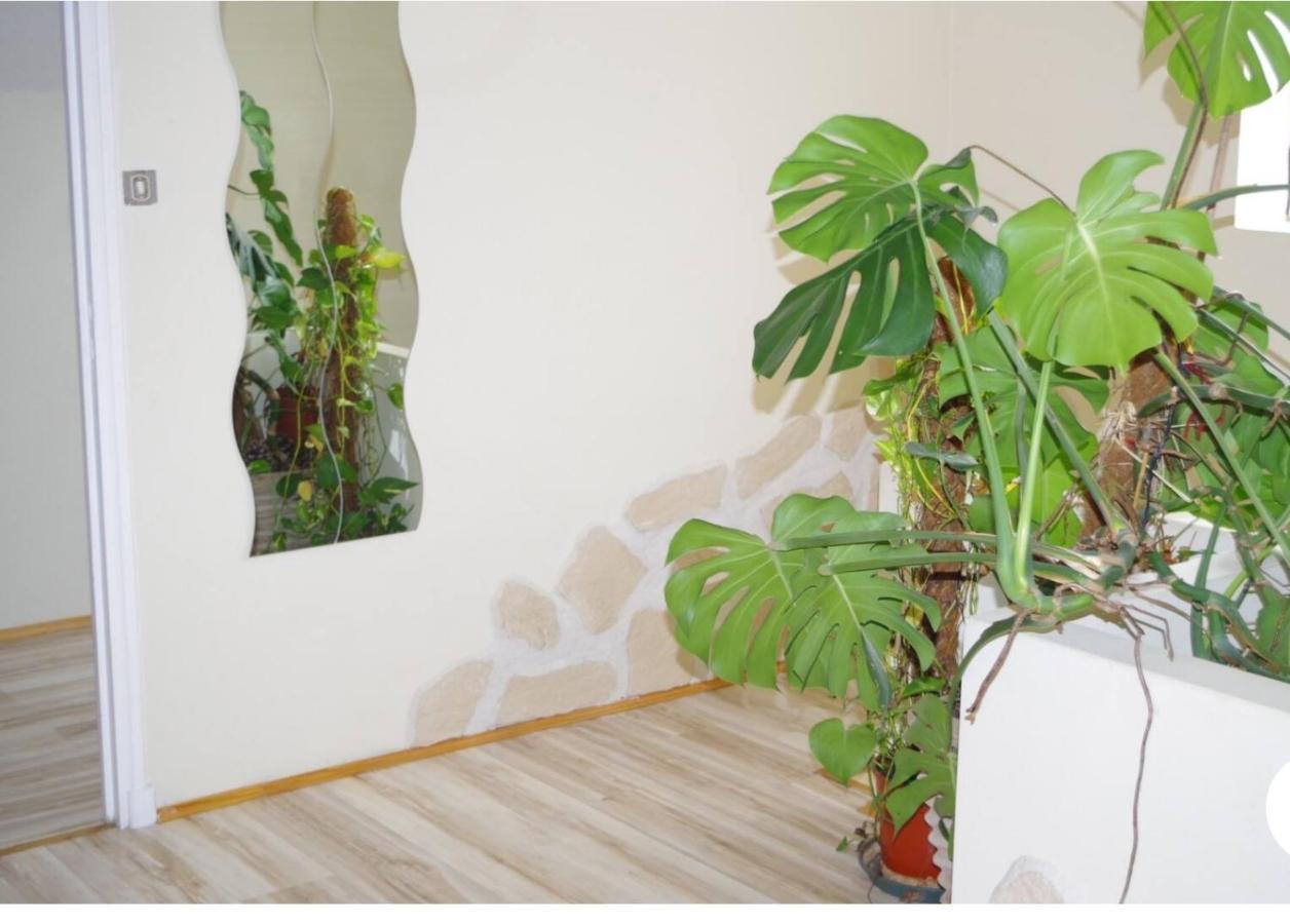 L'Appartement 90M2 Climatise Awinion Zewnętrze zdjęcie