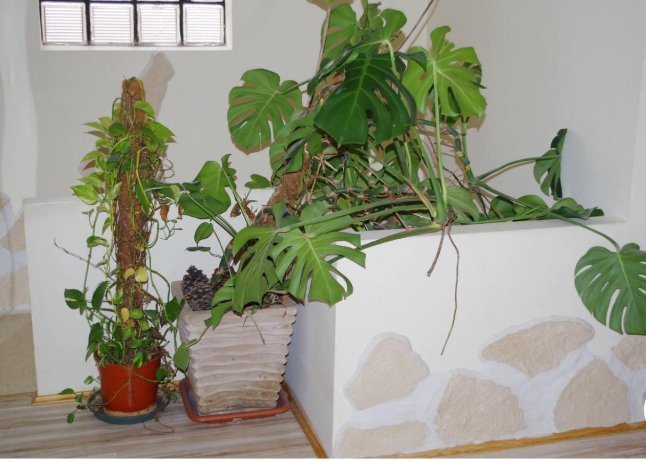 L'Appartement 90M2 Climatise Awinion Zewnętrze zdjęcie